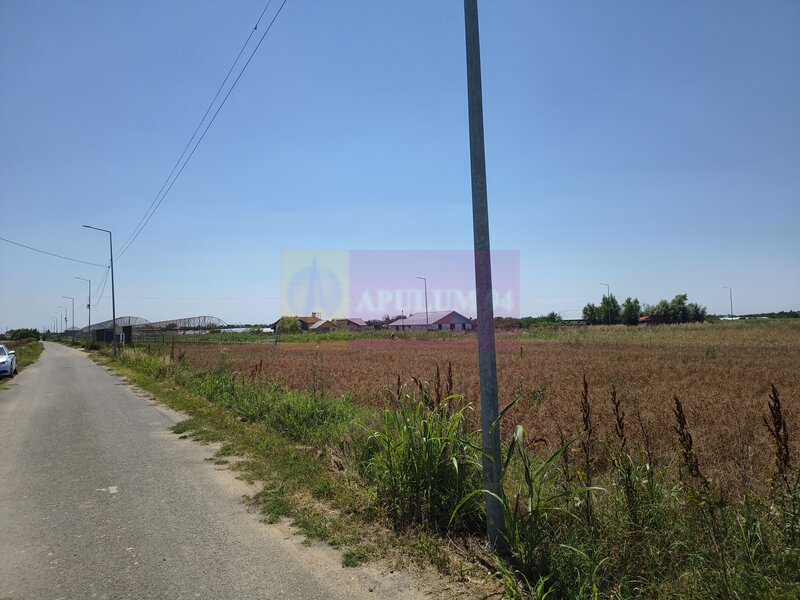 Teren pentru casa aproape de Bucuresti