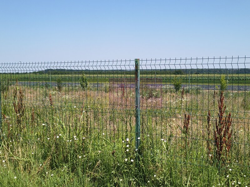 Teren pentru casa aproape de Bucuresti