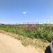 Teren pentru casa aproape de Bucuresti